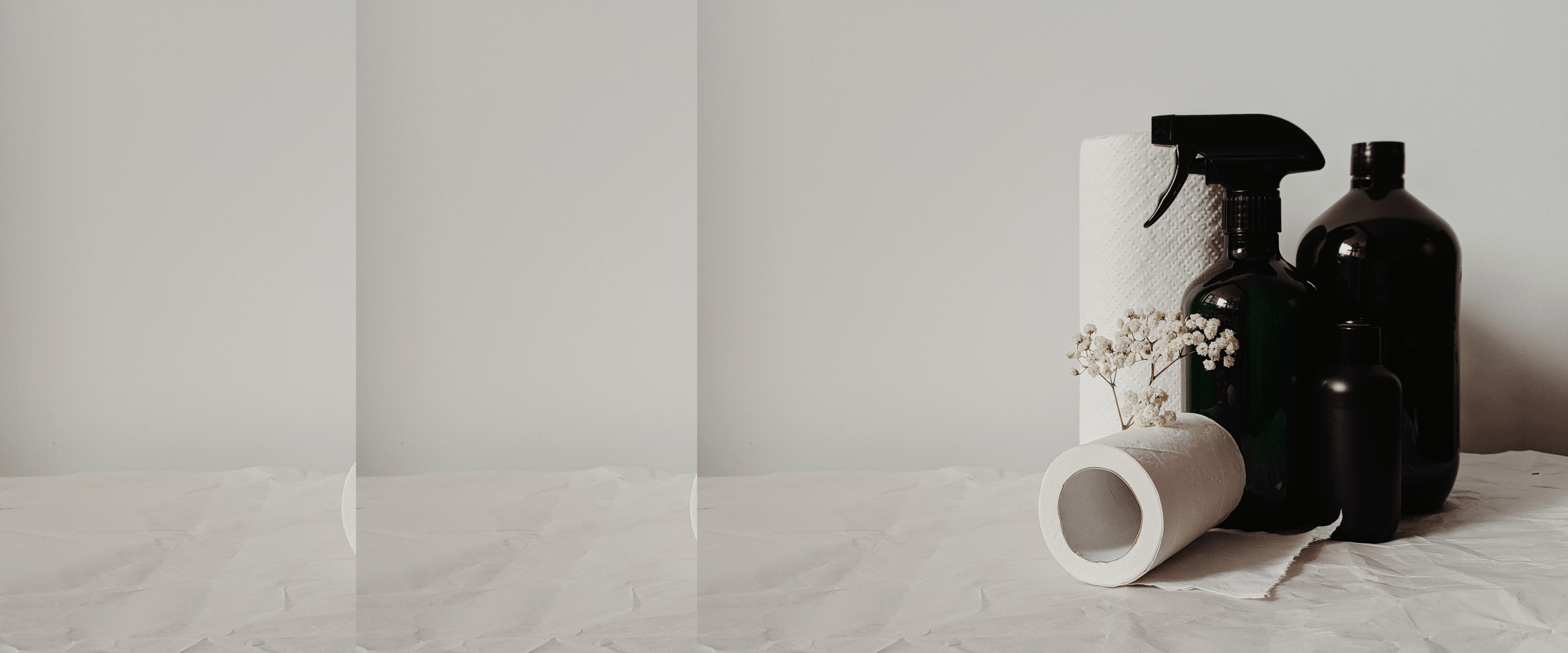 Himalayan Cleaning Service - Professional cleaning products